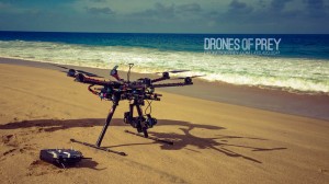Drone consulting services for your specific drone type and flight skillset